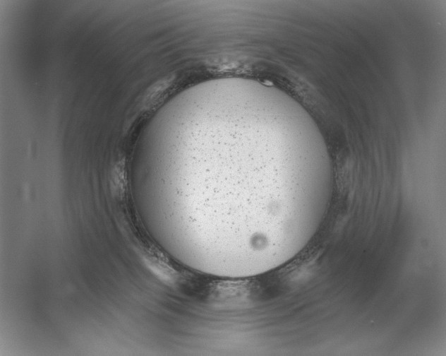 X0000052980085200508051052