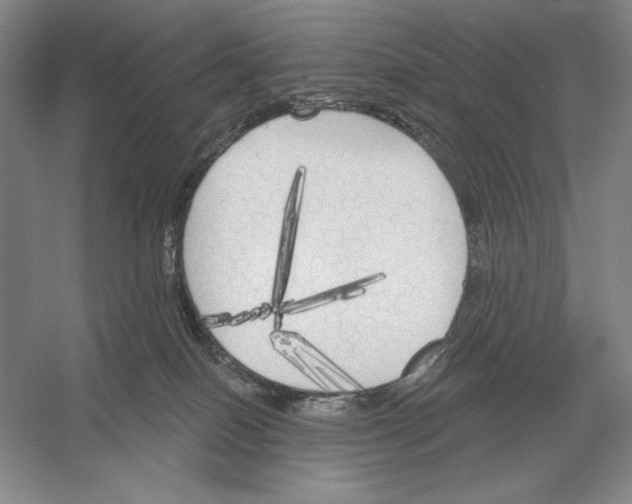 X0000052980086200508051052