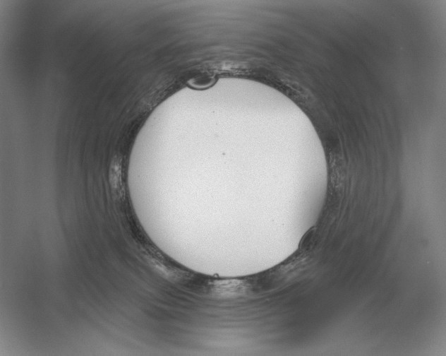 X0000052980087200508051052