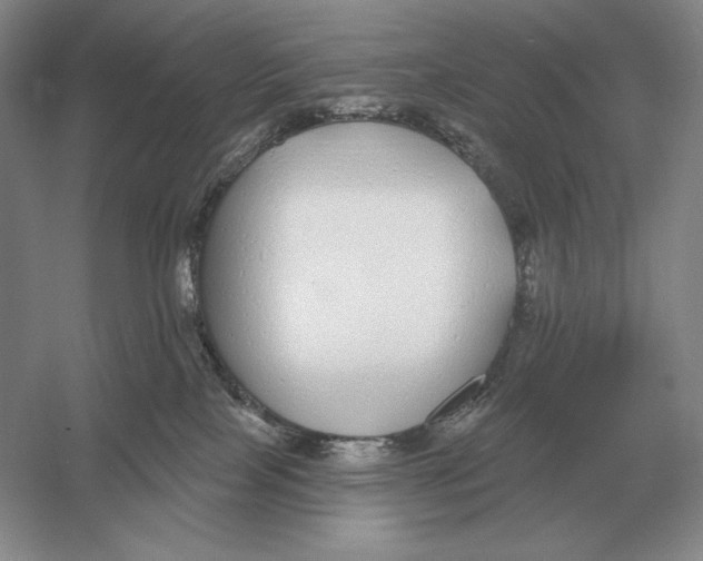 X0000052980089200508051052