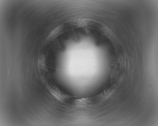 X0000052980092200508051052