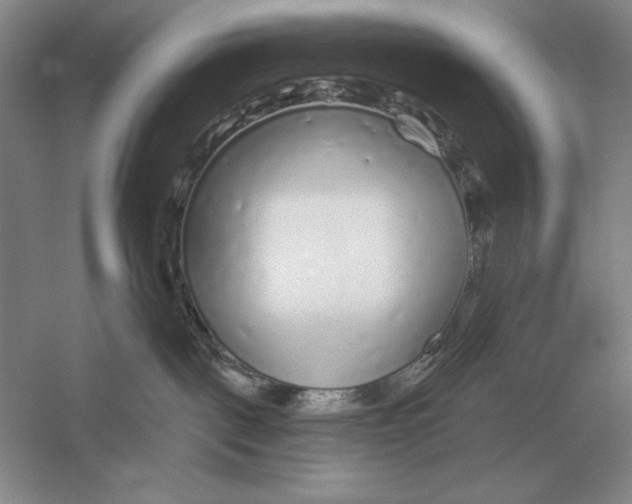 X0000052980093200508051052