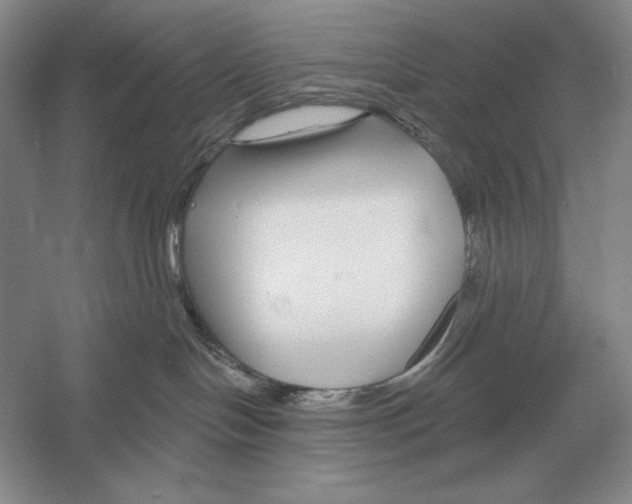 X0000052980094200508051052