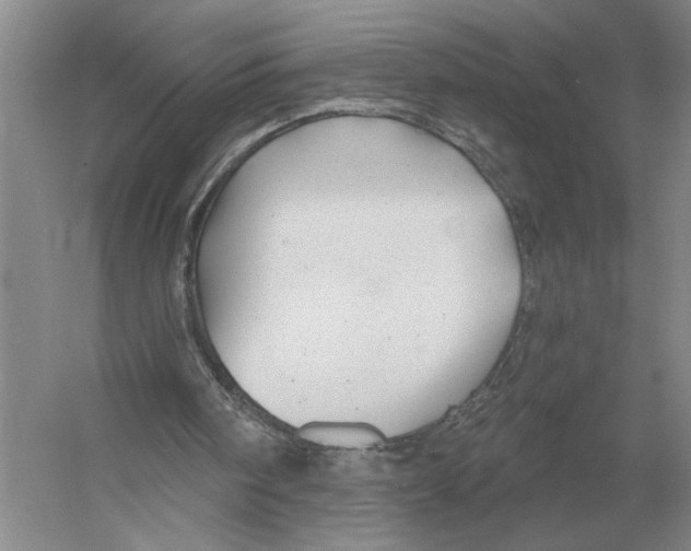 X0000052980098200508051051