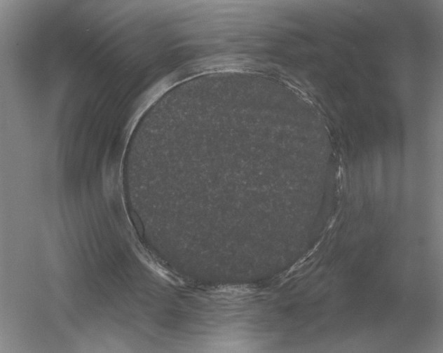 X0000052980099200508051051