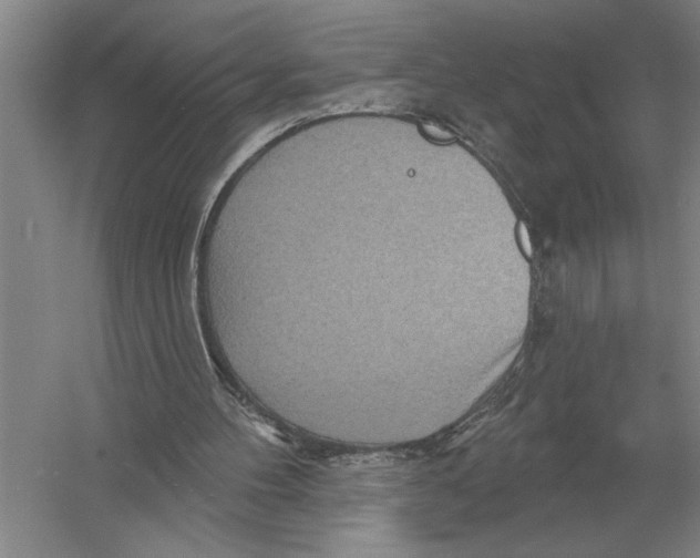 X0000052980100200508051051