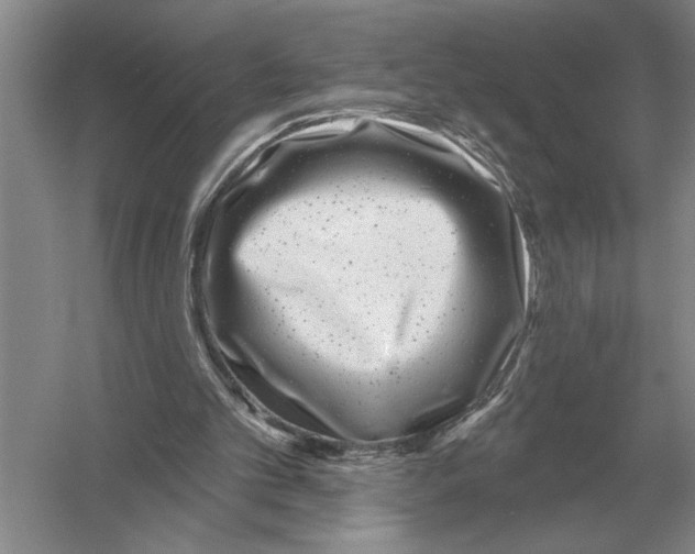 X0000052980101200508051051