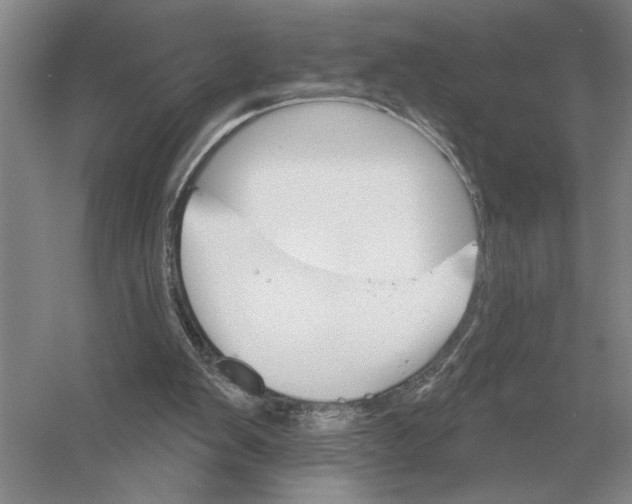 X0000052980103200508051051