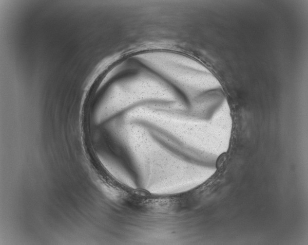 X0000052980104200508051051