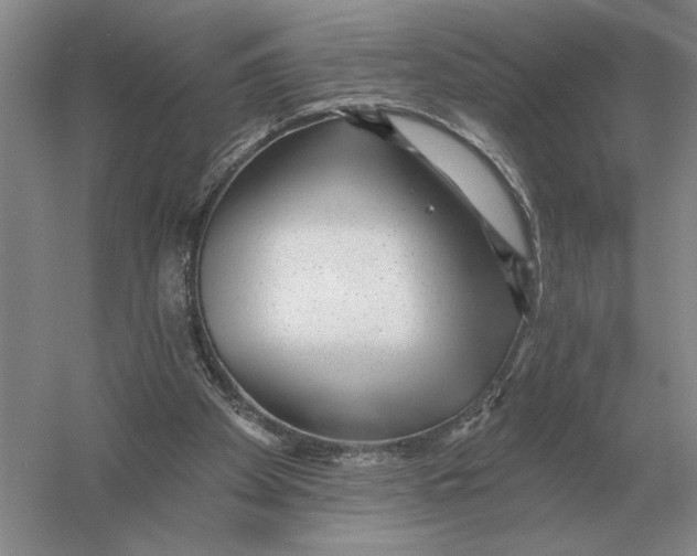 X0000052980105200508051051