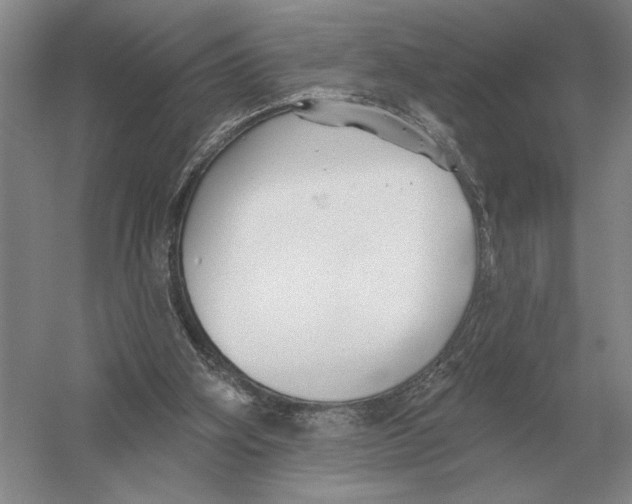 X0000052980106200508051051