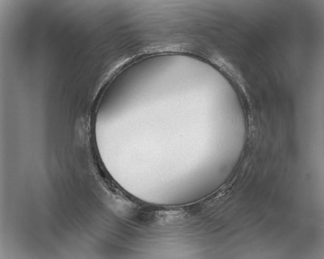 X0000052980107200508051051