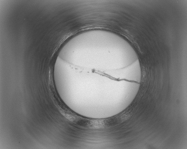 X0000052980110200508051051