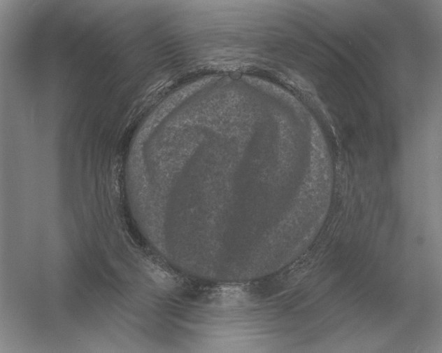 X0000052980114200508051051