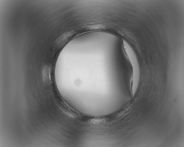 X0000052980115200508051051