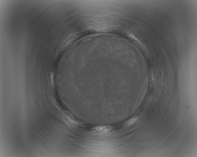 X0000052980117200508051051