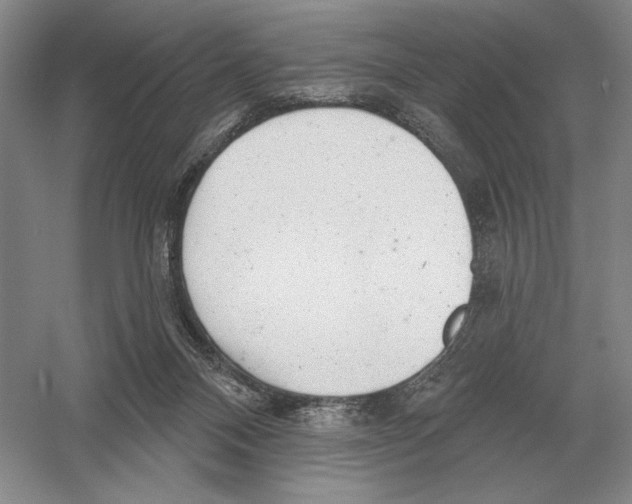 X0000052980120200508051051