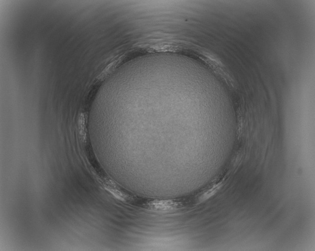 X0000052980121200508051051