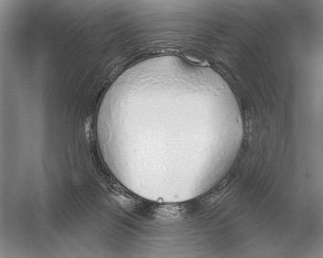 X0000052980123200508051051