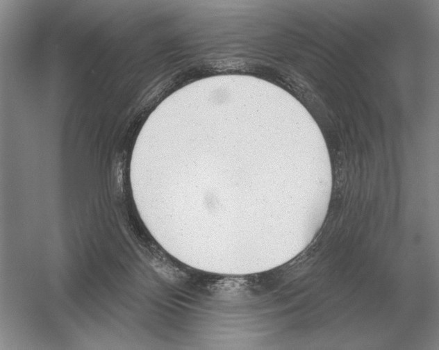 X0000052980124200508051051