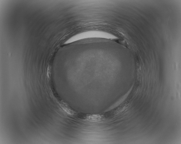 X0000052980125200508051051