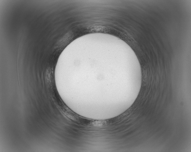 X0000052980126200508051051