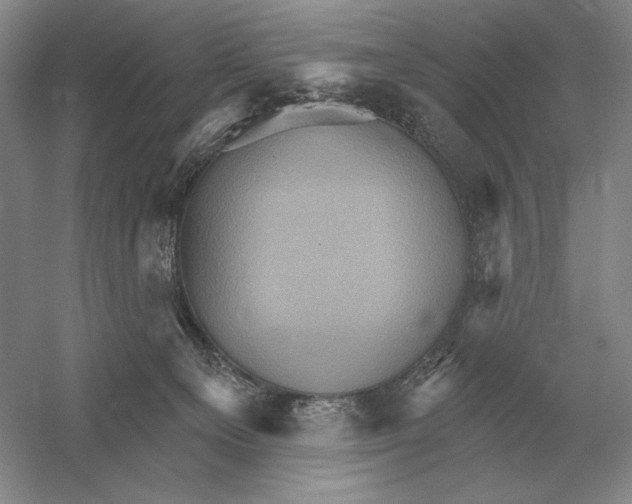 X0000052980129200508051051