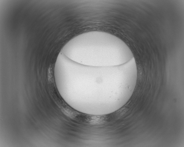 X0000052980130200508051051