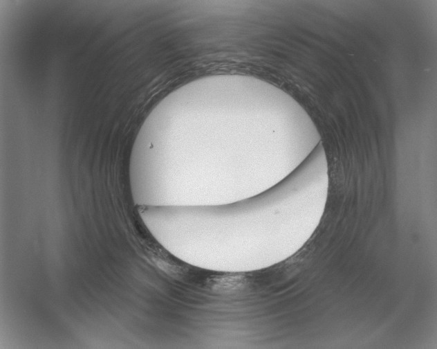 X0000052980132200508051051