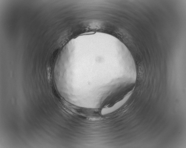 X0000052980135200508051051