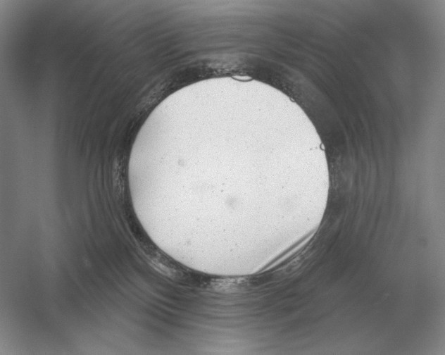 X0000052980136200508051051