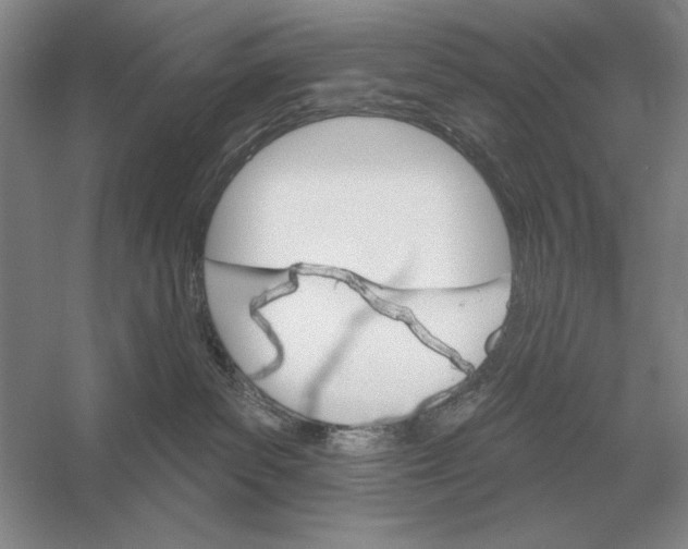 X0000052980139200508051051