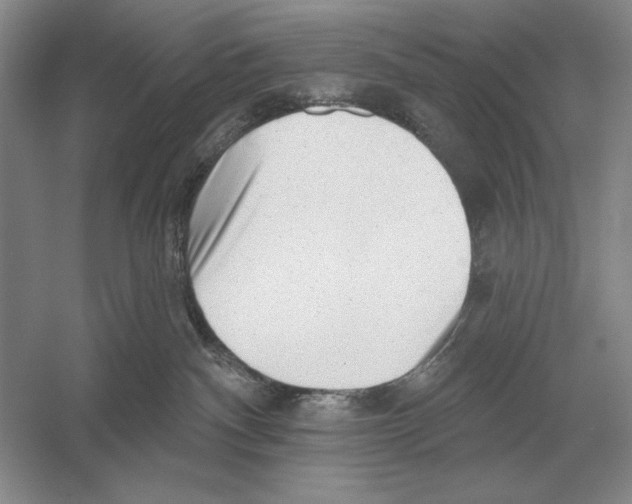 X0000052980140200508051051