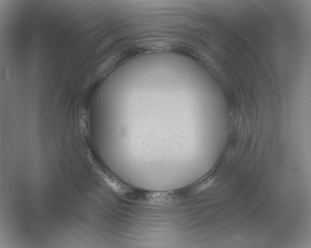 X0000052980141200508051051