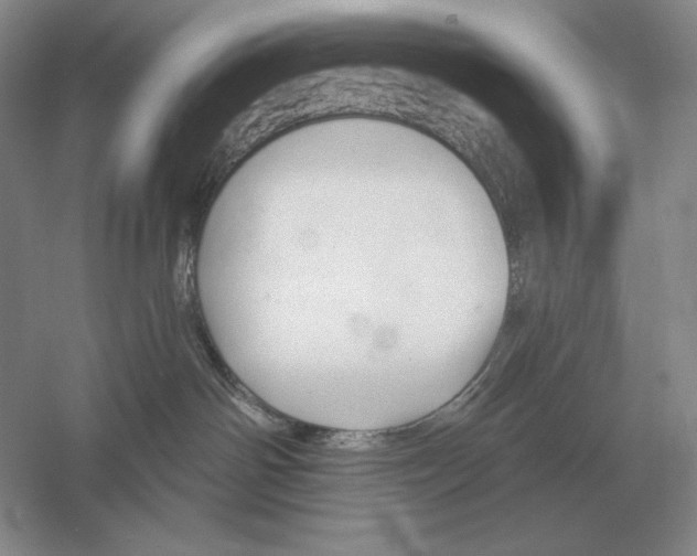 X0000052980142200508051051