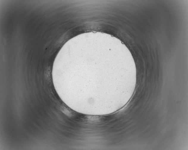 X0000052980144200508051051