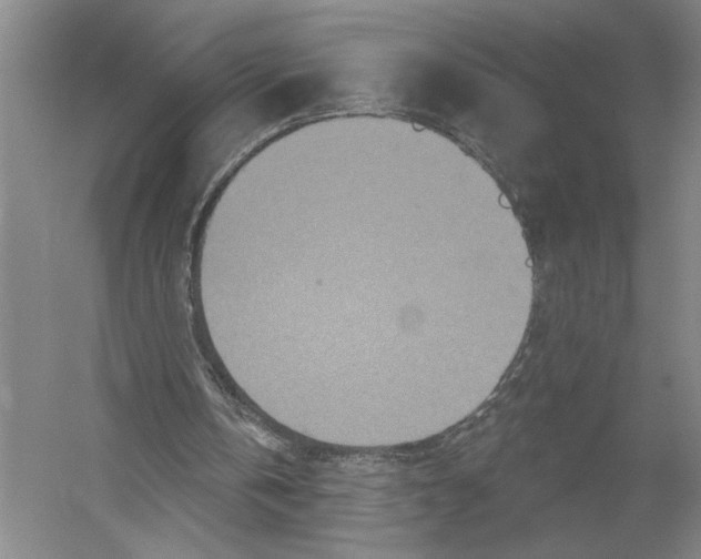 X0000052980146200508051050