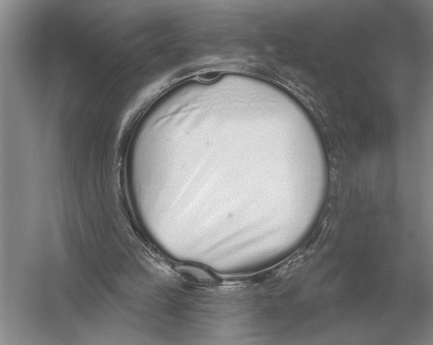 X0000052980149200508051050