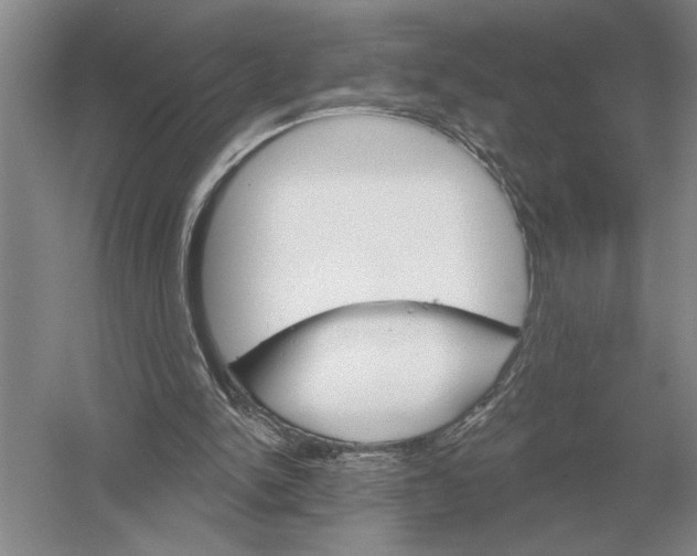 X0000052980150200508051050