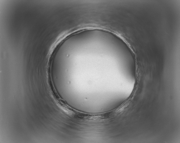 X0000052980151200508051050