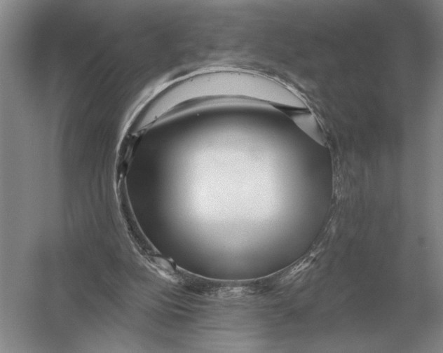 X0000052980152200508051050