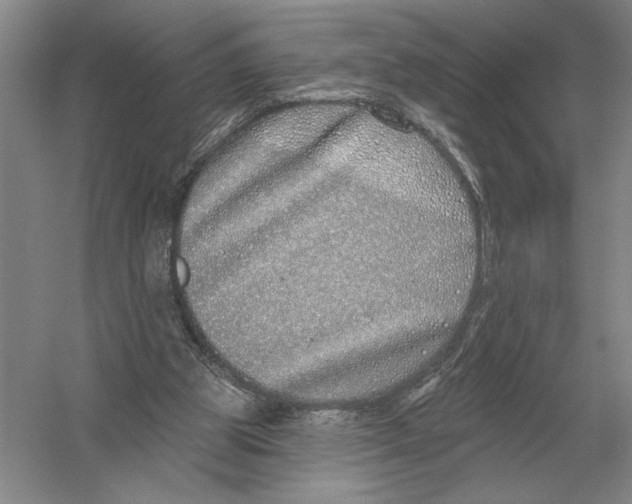 X0000052980153200508051050