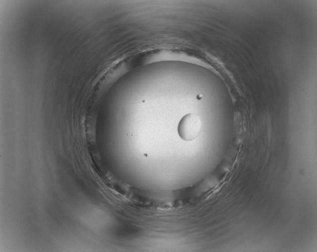 X0000052980154200508051050