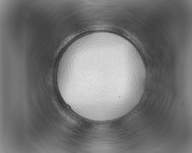 X0000052980155200508051050