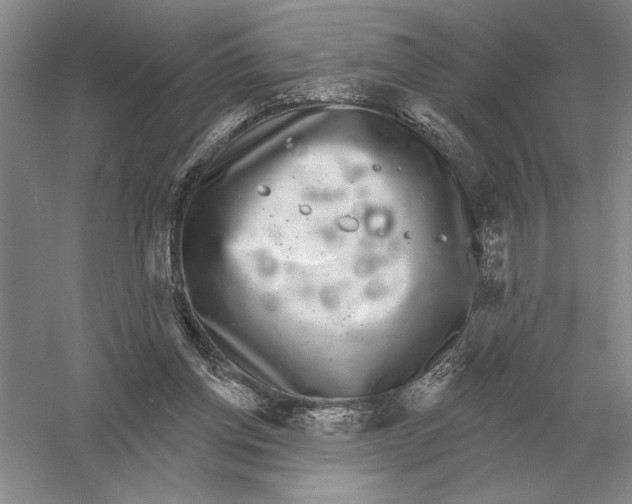 X0000052980158200508051050