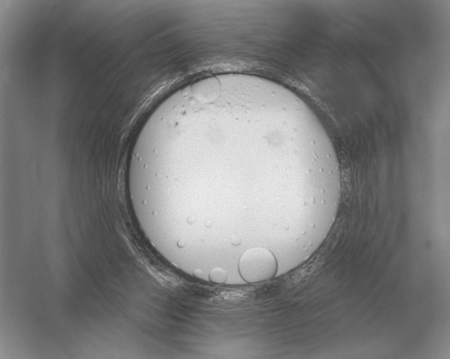 X0000052980159200508051050