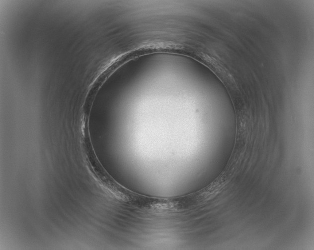 X0000052980160200508051050