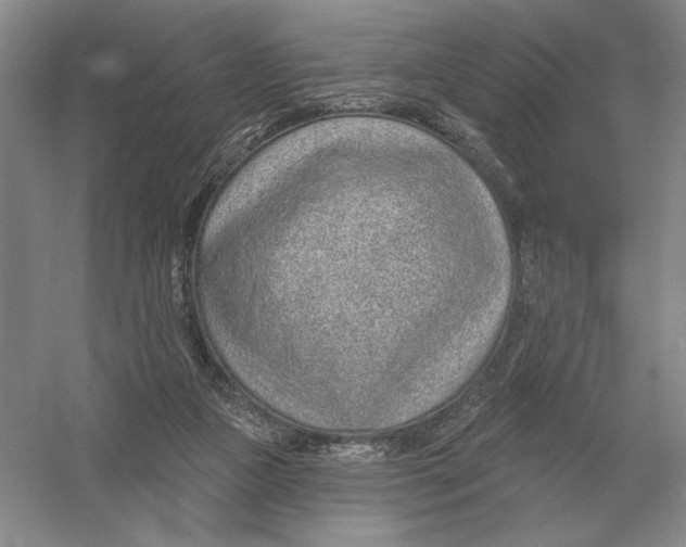 X0000052980161200508051050