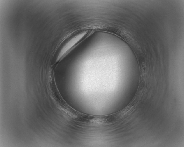 X0000052980164200508051050