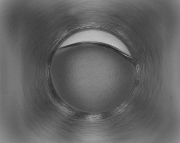 X0000052980168200508051050